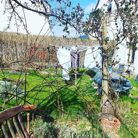 B&B A Quiet Place Tintigny Exterior photo